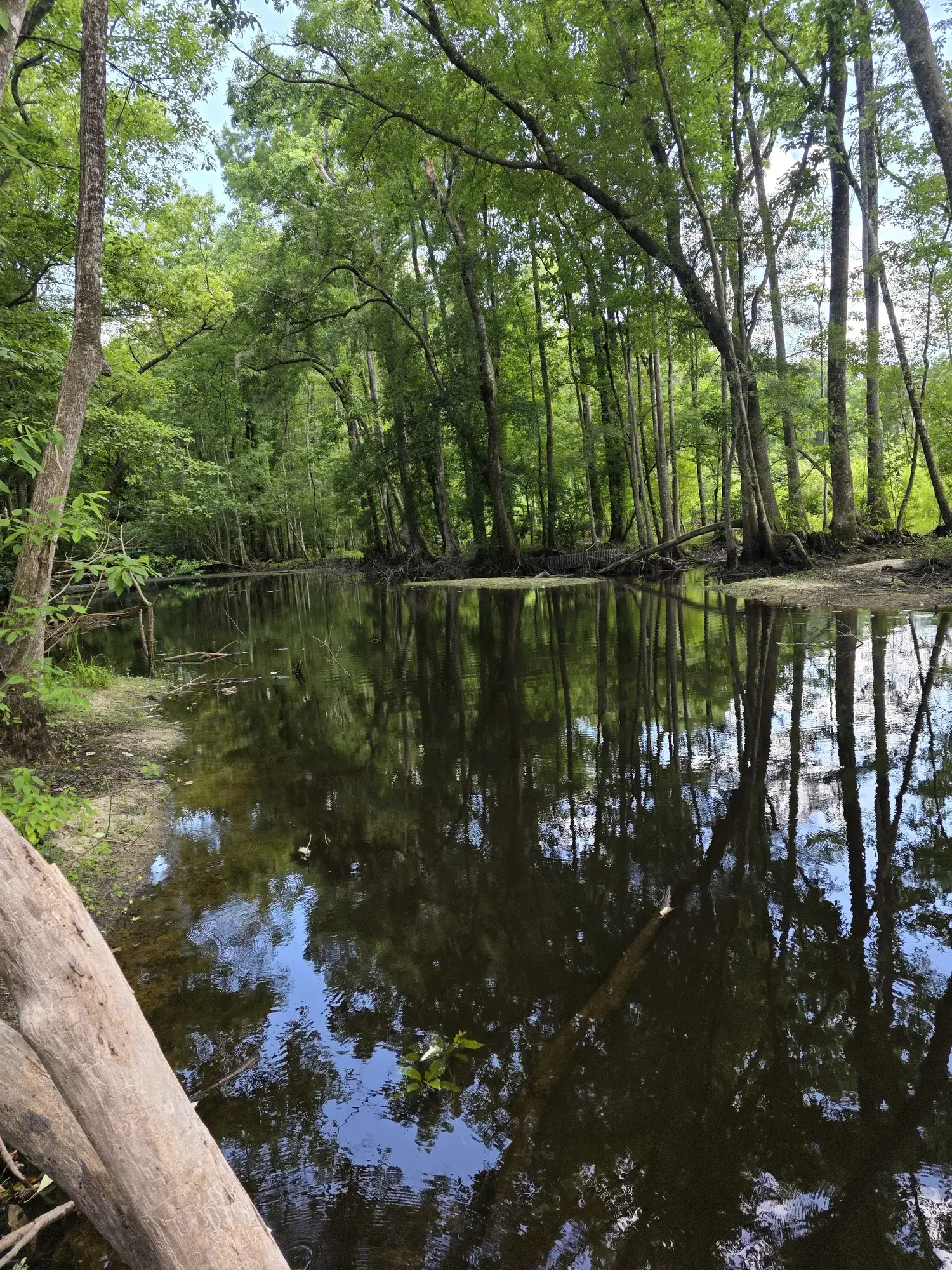 Blackwater creek reflection on the property