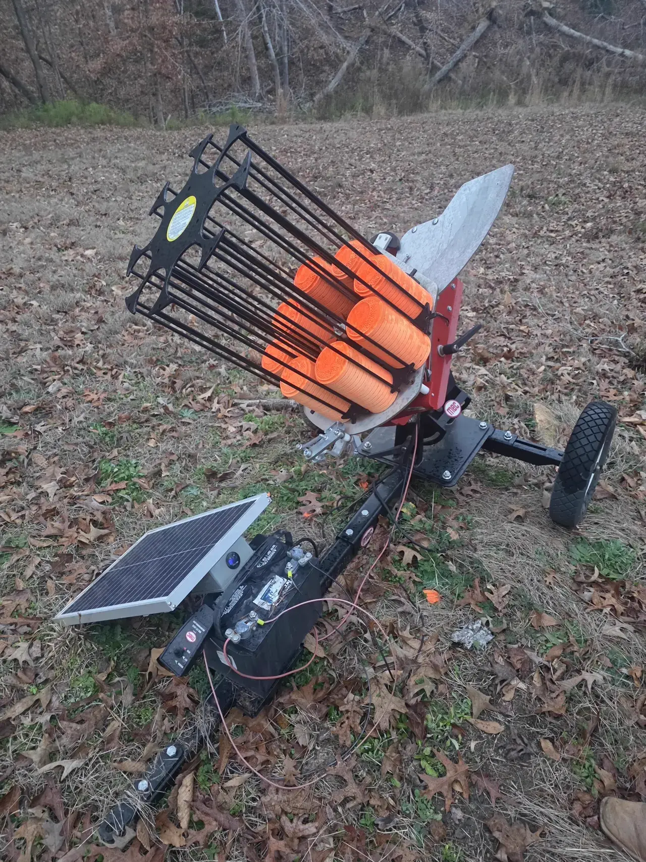 Clay target thrower loaded with orange clays