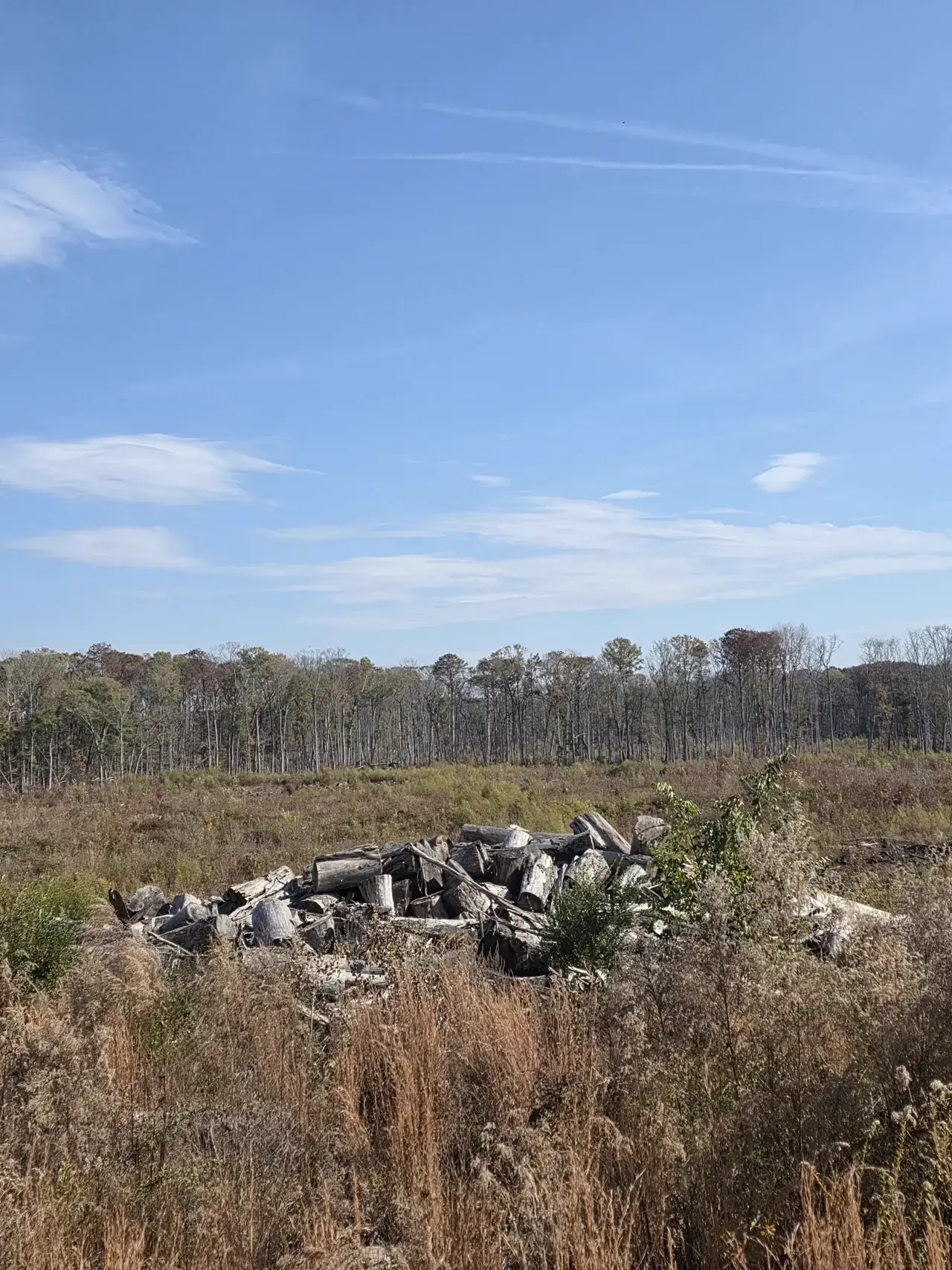 Debris pile in open field