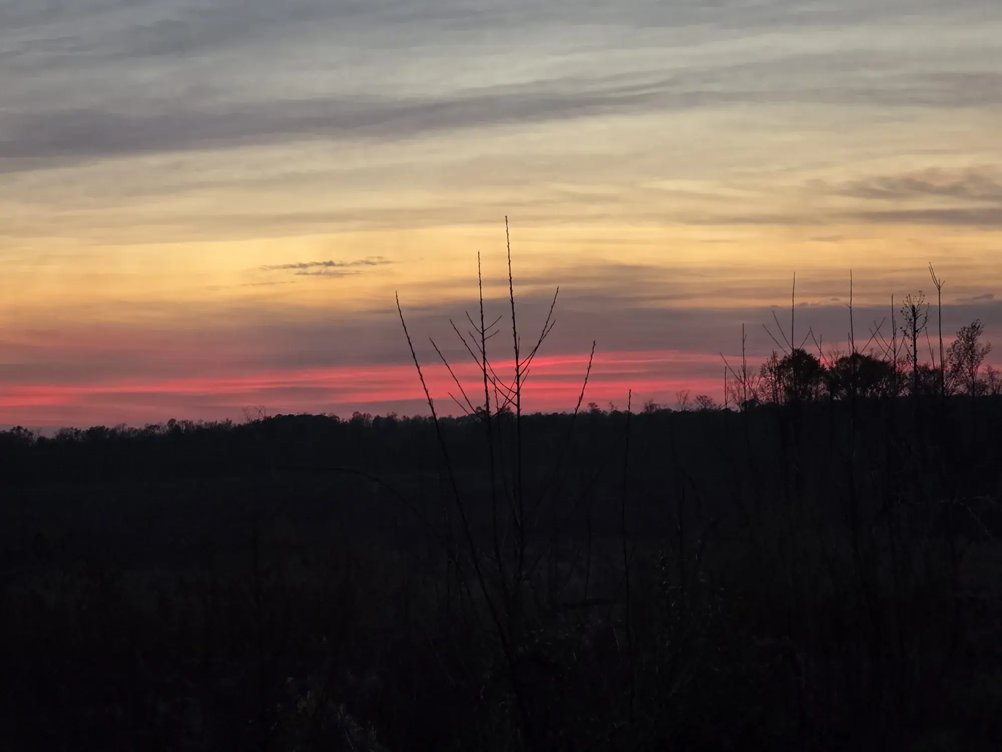 Sunset over the property