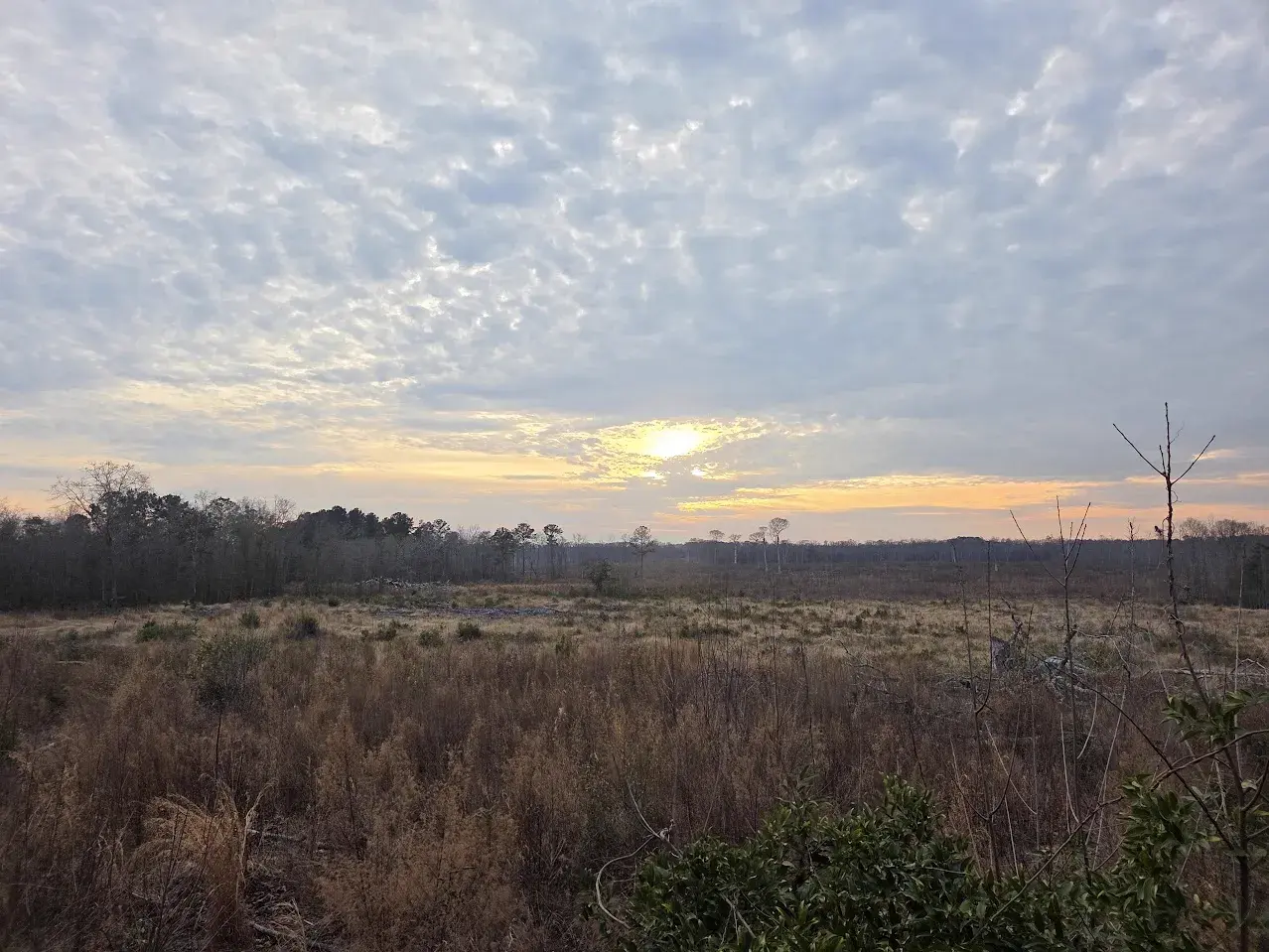 Property view of the land