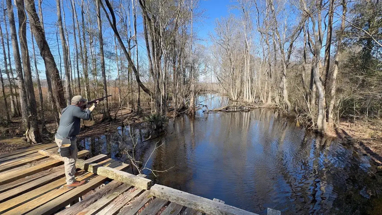 Shooting from deck overlooking swamp