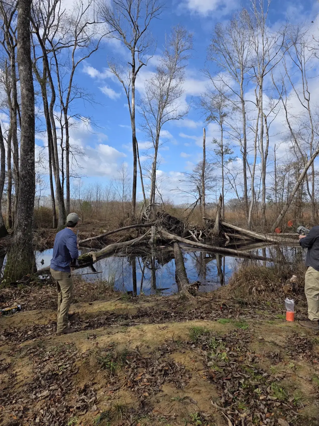 Building a trail bridge