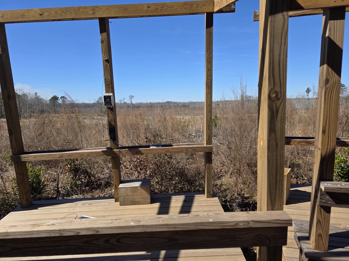 Looking out from a covered shooting stand over the field in daylight