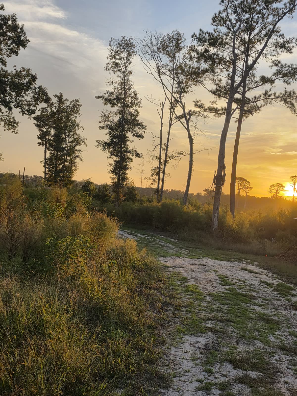 A trail through the Traditions Field Club property at sunset